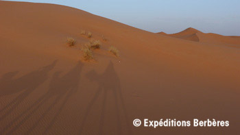 desert marocain1 mini