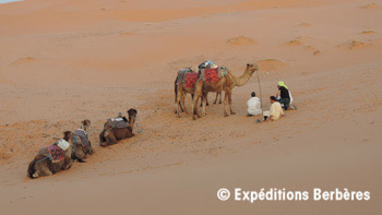 desert marocain3 mini